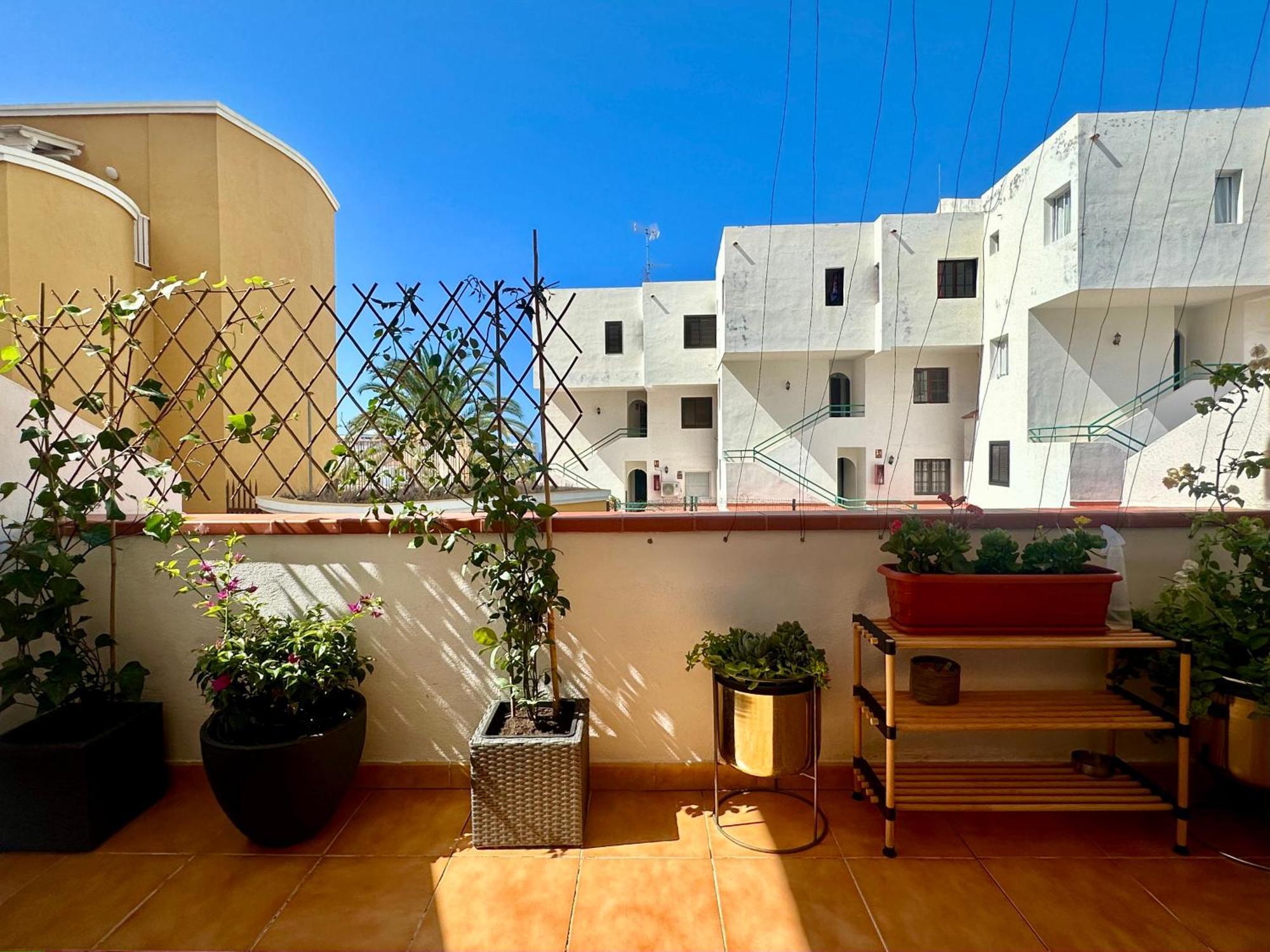 Apartment In Ocean Park Ii, Costa Adeje, Tenerife المظهر الخارجي الصورة